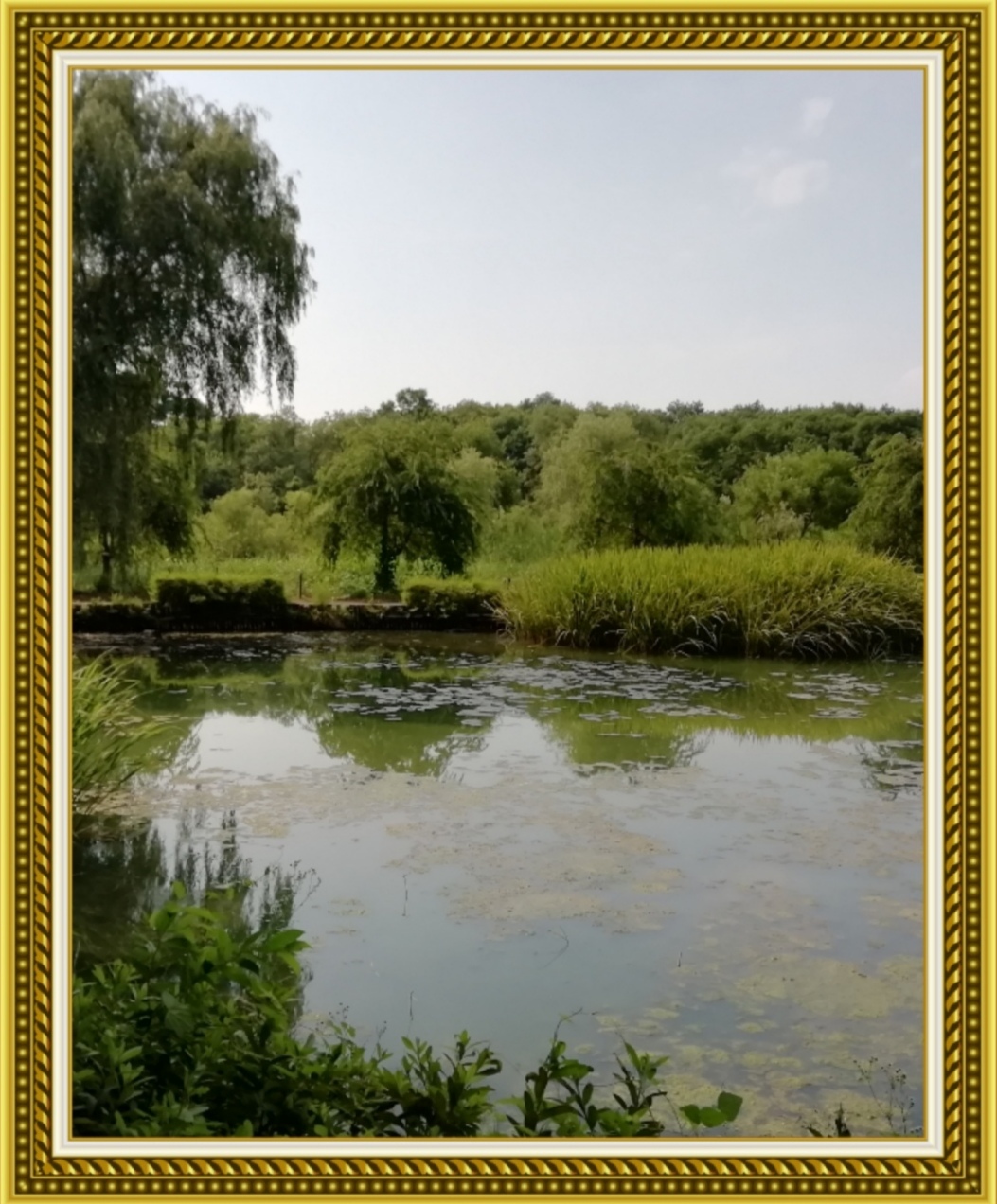 占い師シリウスららのお気に入り写真2